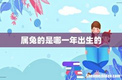 属兔的是哪一年出生的