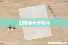 山楂春天开花吗