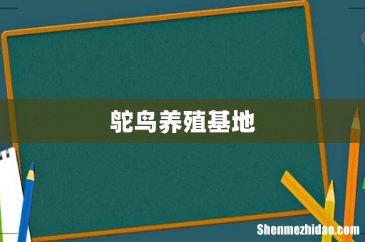 鸵鸟养殖基地