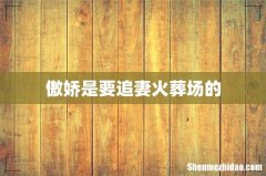 傲娇是要追妻火葬场的