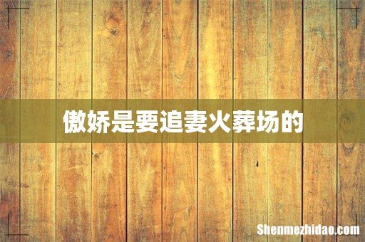 傲娇是要追妻火葬场的