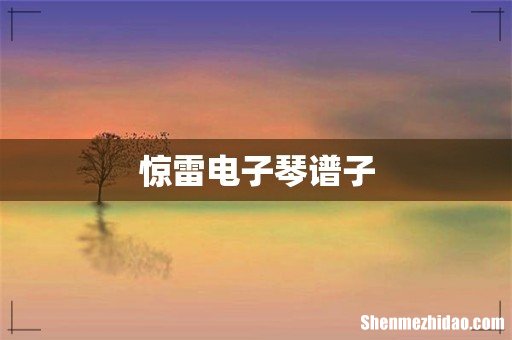 惊雷电子琴谱子