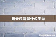 瞒天过海是什么生肖