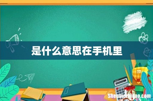 是什么意思在手机里