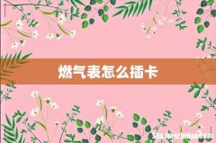 燃气表怎么插卡