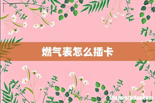 燃气表怎么插卡