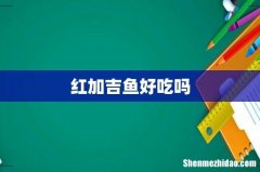 红加吉鱼好吃吗