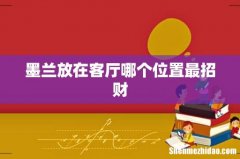 墨兰放在客厅哪个位置最招财