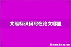 文献标识码写在论文哪里