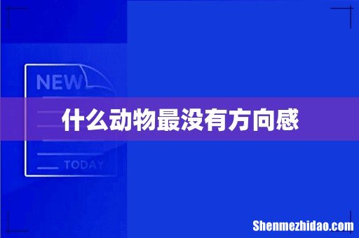 什么动物最没有方向感