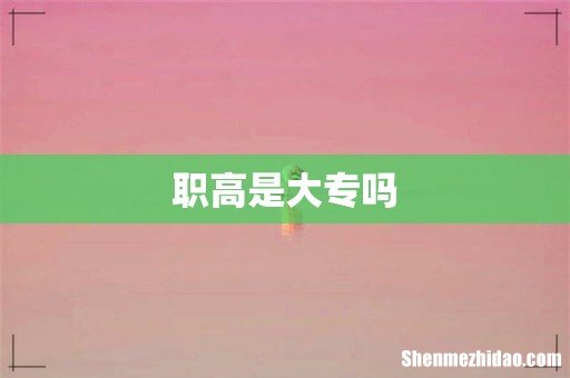 职高是大专吗