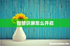 智慧识屏怎么开启