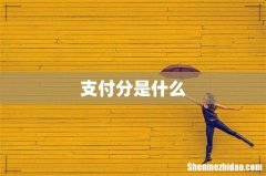 支付分是什么