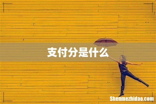 支付分是什么