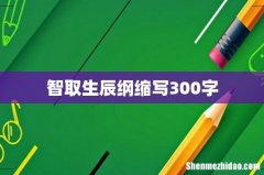 智取生辰纲缩写300字