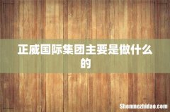 正威国际集团主要是做什么的