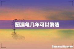 圆澳龟几年可以繁殖
