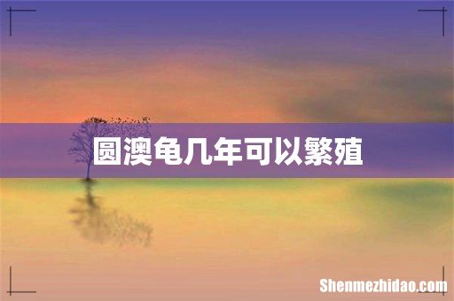 圆澳龟几年可以繁殖