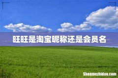 旺旺是淘宝昵称还是会员名