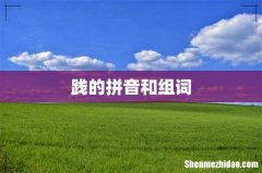 践的拼音和组词