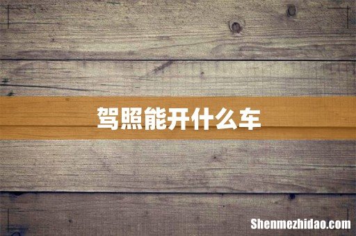 驾照能开什么车