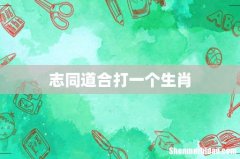 志同道合打一个生肖