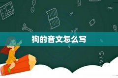 狗的音文怎么写