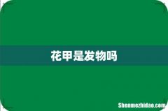 花甲是发物吗