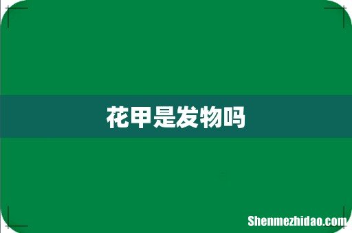 花甲是发物吗
