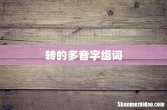 转的多音字组词