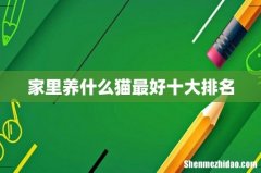 家里养什么猫最好十大排名