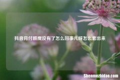 抖音月付额度没有了怎么回事儿呀怎么套出来