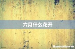 六月什么花开