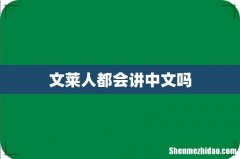 文莱人都会讲中文吗