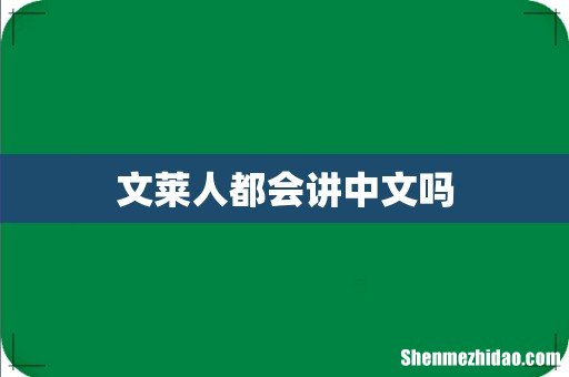 文莱人都会讲中文吗
