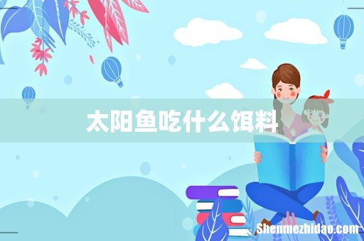 太阳鱼吃什么饵料