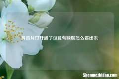 抖音月付开通了但没有额度怎么套出来