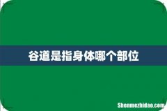 谷道是指身体哪个部位