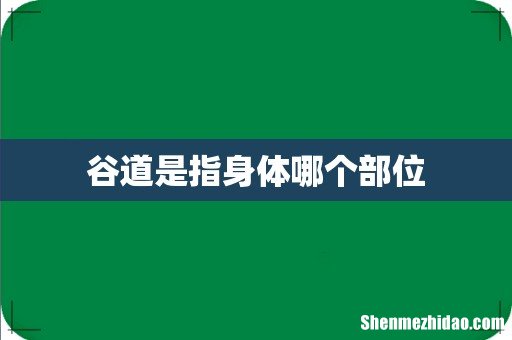 谷道是指身体哪个部位
