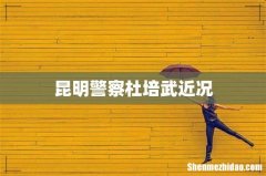 昆明警察杜培武近况