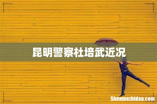 昆明警察杜培武近况