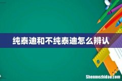 纯泰迪和不纯泰迪怎么辨认