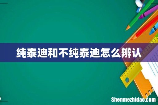 纯泰迪和不纯泰迪怎么辨认