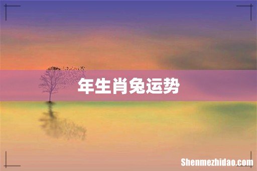 年生肖兔运势