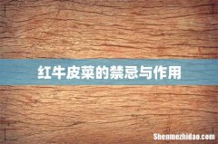 红牛皮菜的禁忌与作用