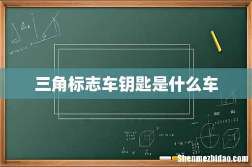 三角标志车钥匙是什么车