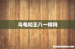 乌龟和王八一样吗