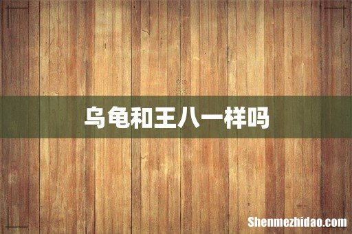 乌龟和王八一样吗