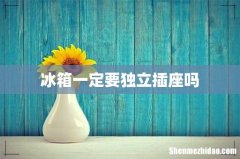 冰箱一定要独立插座吗