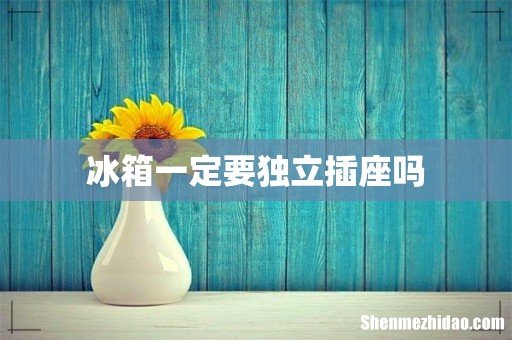 冰箱一定要独立插座吗